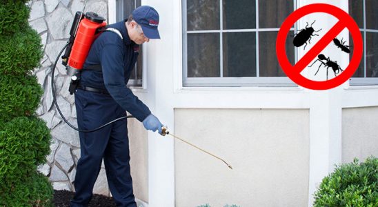 Atakum Karınca İlaçlama böcek ilaçlama ve haşere kontrolü — ilaclama-tr.com